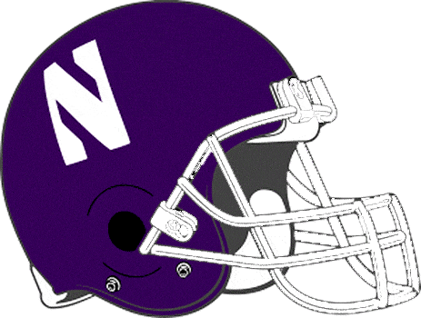 Northwestern Wildcats 1981-1992 Helmet Logo diy fabric transfer
